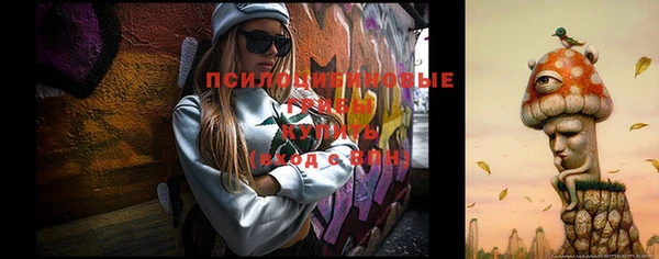 spice Переславль-Залесский